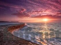 大象传媒免费app-探索大象传媒免费APP，重塑数字娱乐的免费新篇章
