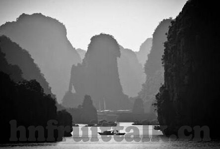 果冻传媒何苗作品链接-探索果冻传媒何苗的创意之旅，作品链接的独特魅力