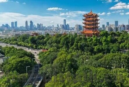 糖心app免费入口-警惕网络陷阱，珍爱生活，远离非法应用——糖心app的背后风险