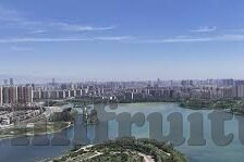 糖心app免费入口-探索数字乐园，解锁糖心APP的免费资源之旅