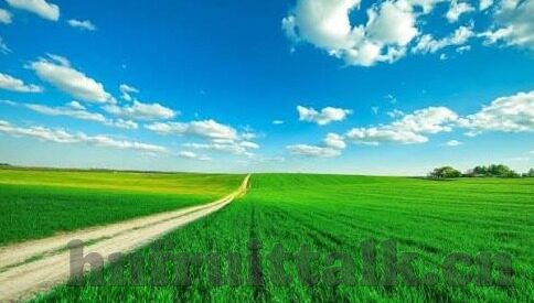 糖心app收费吗-解疑糖心app是否收费的真相